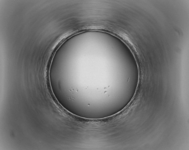 X0000112901181200909111518
