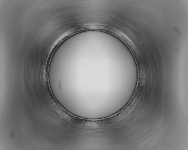X0000112901182200909111518