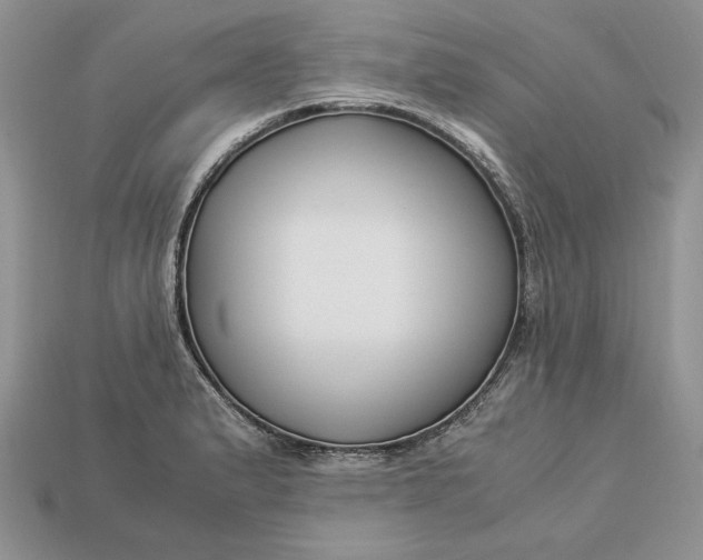 X0000112901183200909111518