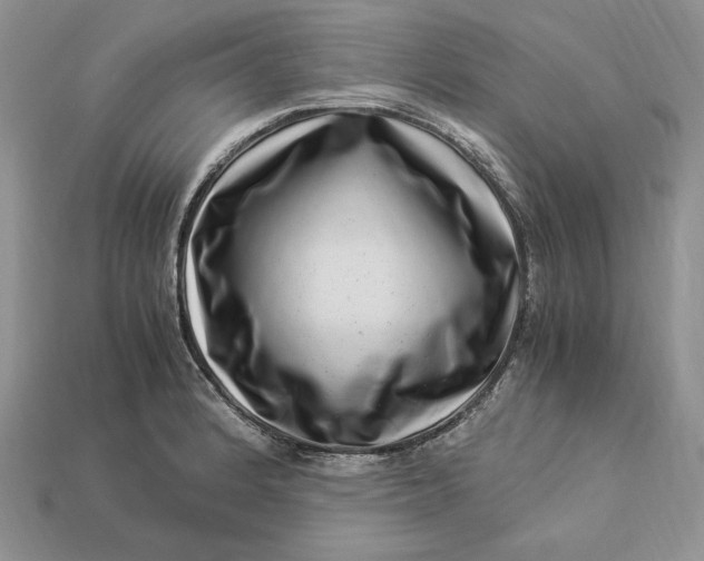 X0000112901184200909111518