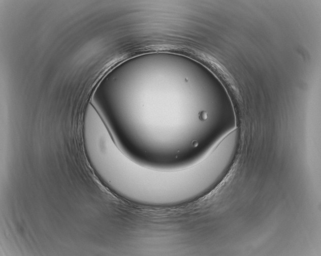 X0000112901185200909111518