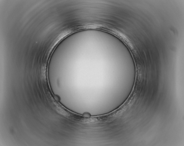 X0000112901186200909111518