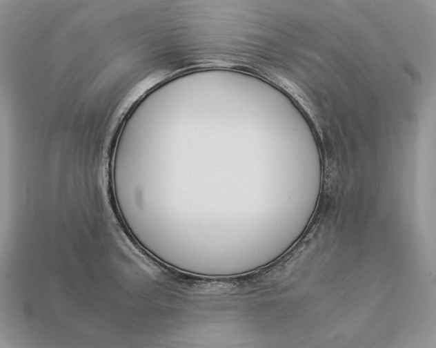 X0000112901187200909111518