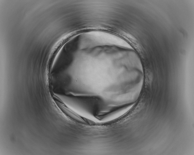 X0000112901188200909111518
