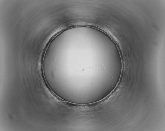 X0000112901189200909111518