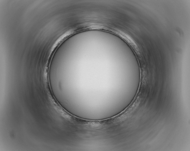 X0000112901190200909111518