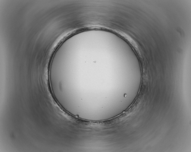 X0000112901191200909111518