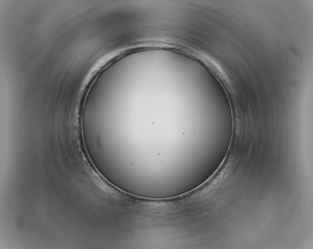 X0000112901192200909111518