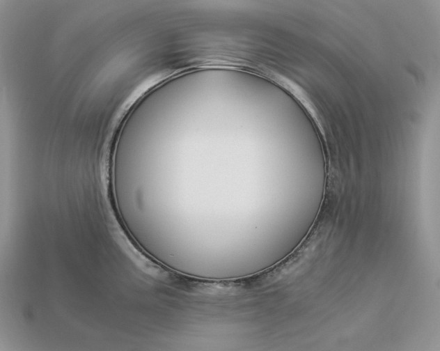 X0000112901195200909111518