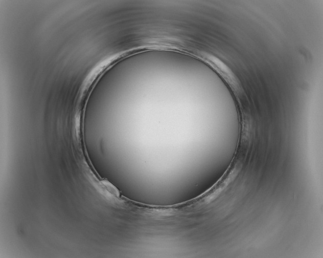 X0000112901196200909111518