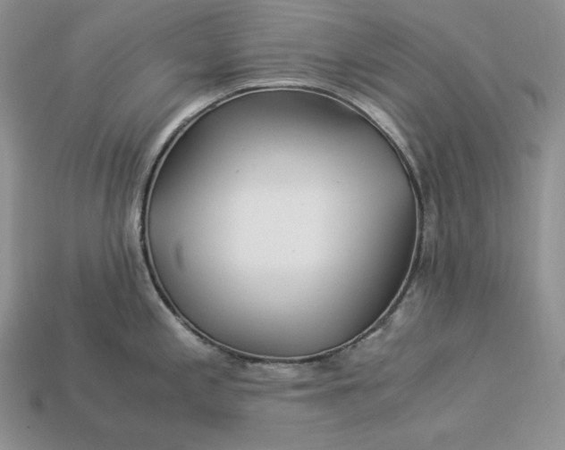 X0000112901197200909111518