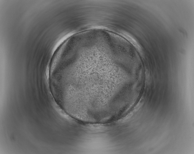 X0000112901198200909111518