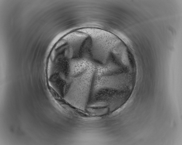 X0000112901200200909111518