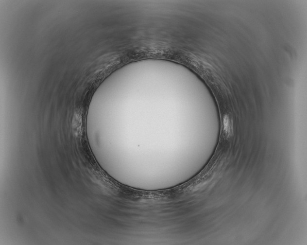 X0000112901203200909111517