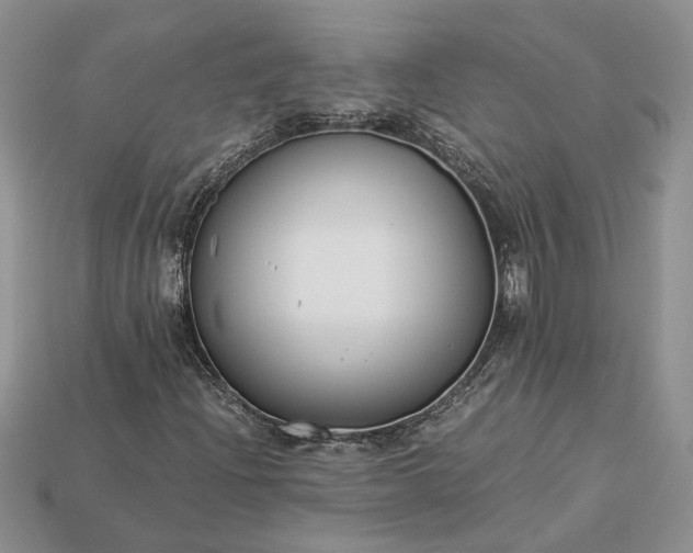 X0000112901204200909111517