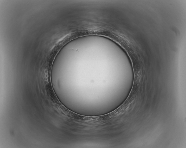 X0000112901205200909111517