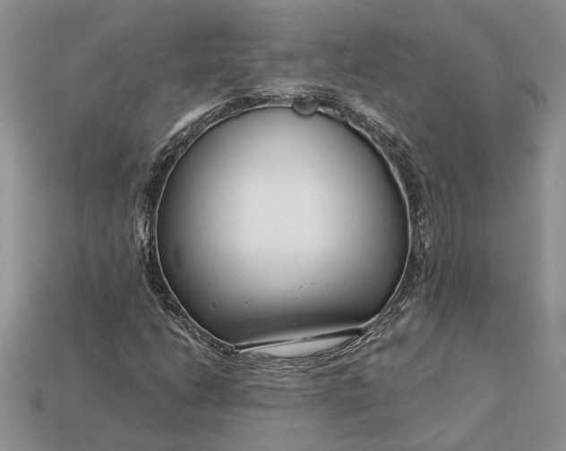 X0000112901206200909111517