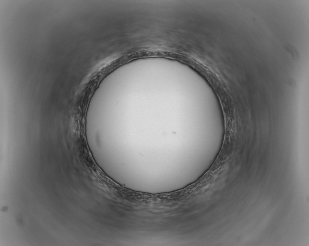 X0000112901207200909111517