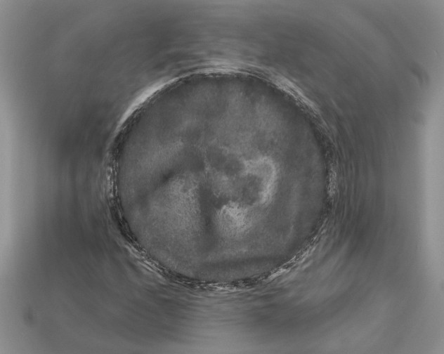X0000112901208200909111517