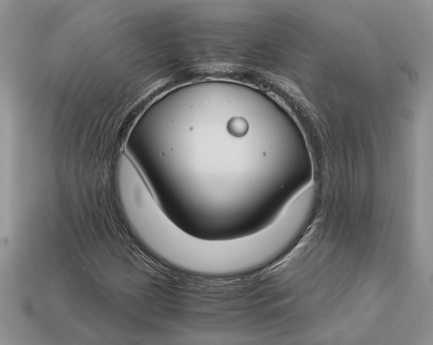X0000112901209200909111517