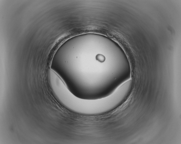 X0000112901210200909111517