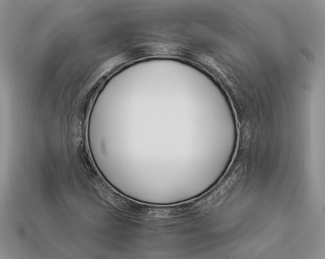 X0000112901211200909111517