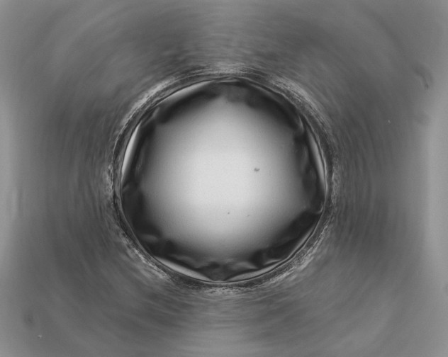 X0000112901212200909111517