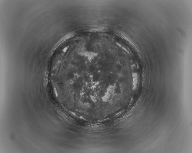 X0000112901213200909111518