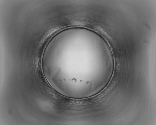 X0000112901215200909111518