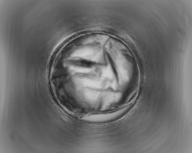 X0000112901216200909111518