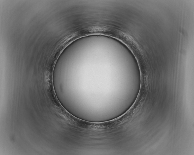 X0000112901217200909111518