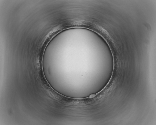 X0000112901218200909111518