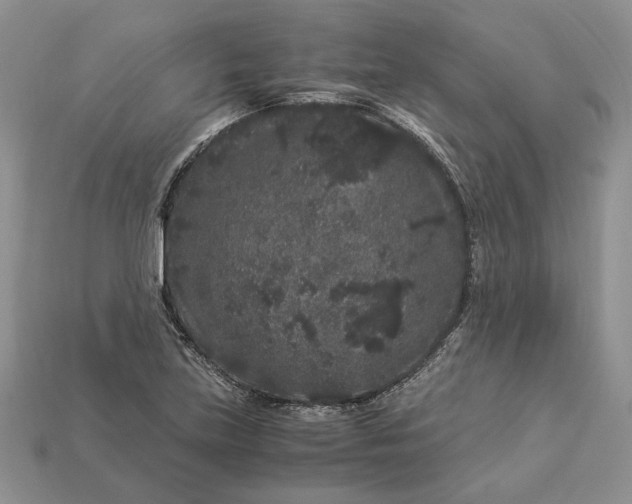 X0000112901219200909111518