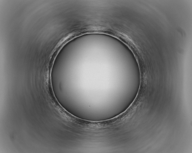 X0000112901220200909111518