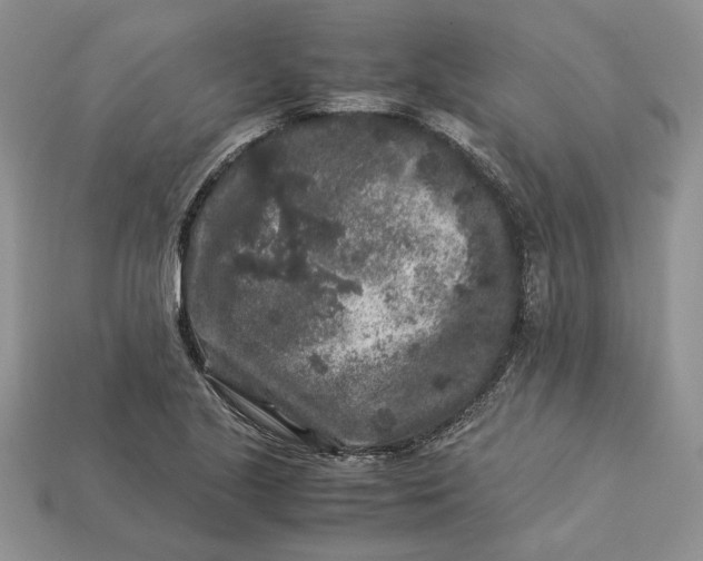 X0000112901221200909111518