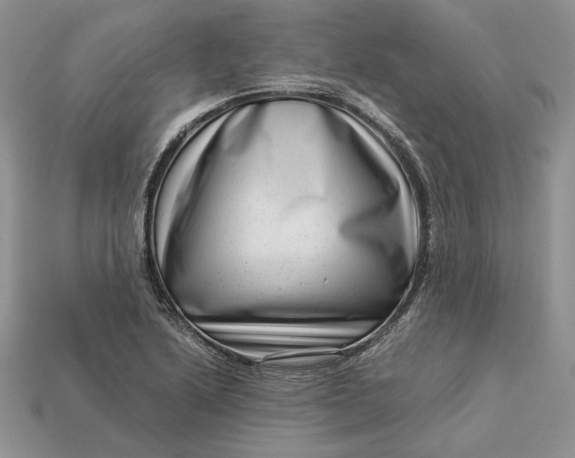 X0000112901222200909111518