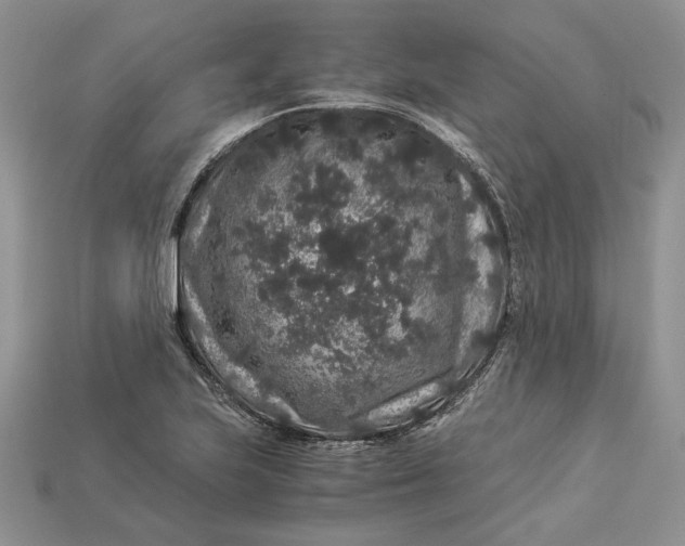 X0000112901223200909111518