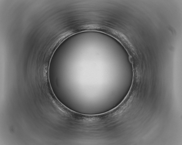 X0000112901225200909111518