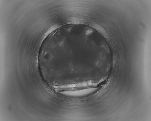 X0000112901226200909111518