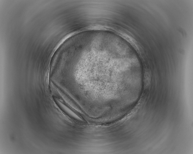 X0000112901228200909111518