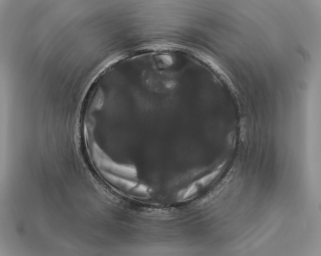 X0000112901229200909111518