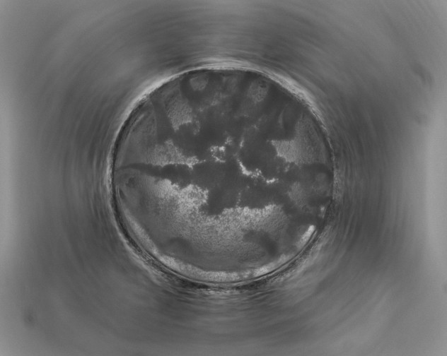 X0000112901231200909111518
