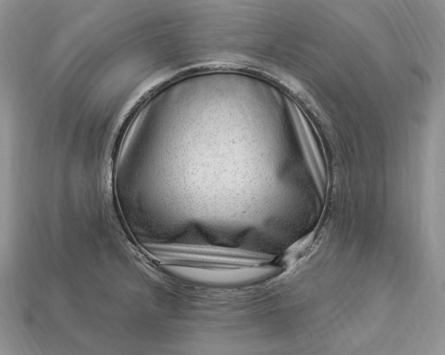 X0000112901232200909111518