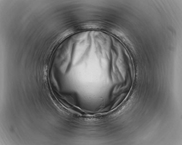 X0000112901233200909111518
