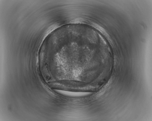 X0000112901234200909111518