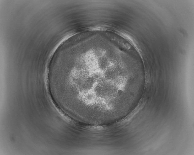 X0000112901235200909111518