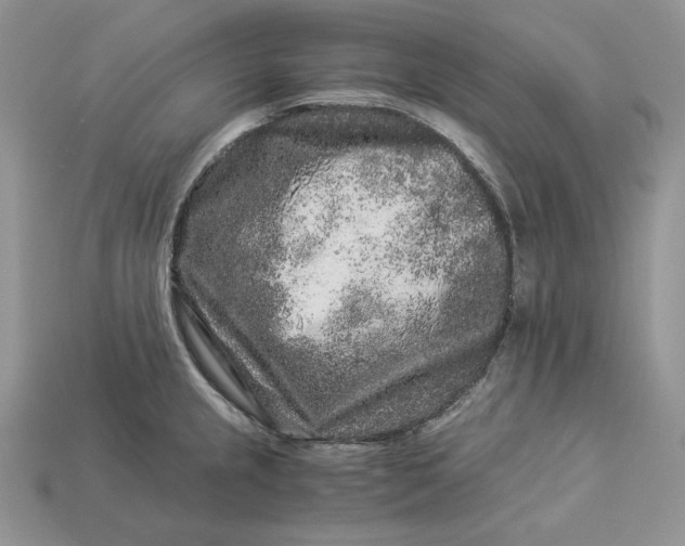 X0000112901237200909111518