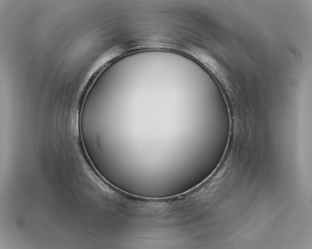 X0000112901238200909111518