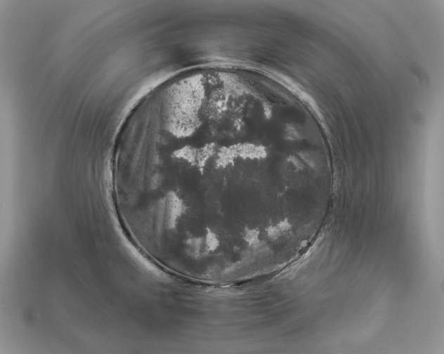 X0000112901239200909111518