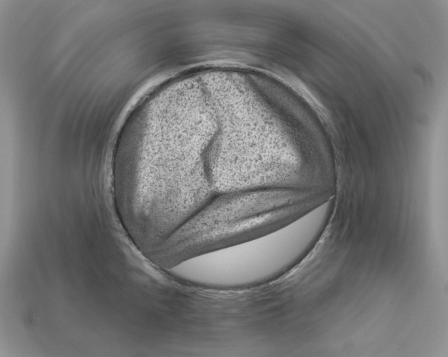 X0000112901240200909111518